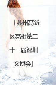 苏州高新区亮相第二十一届深圳文博会