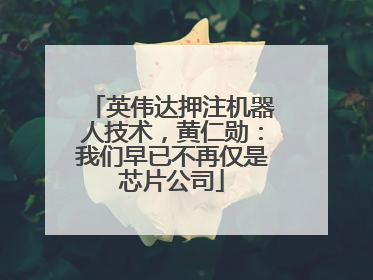 英伟达押注机器人技术，黄仁勋：我们早已不再仅是芯片公司