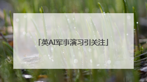 英AI军事演习引关注