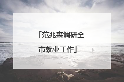 范兆森调研全市就业工作