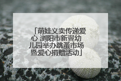 萌娃义卖传递爱心 浏阳市新翼幼儿园举办跳蚤市场暨爱心捐赠活动