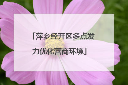 萍乡经开区多点发力优化营商环境