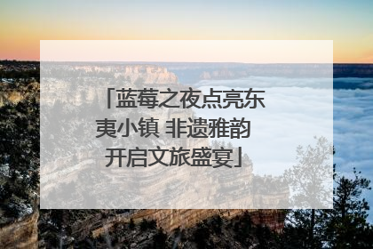 蓝莓之夜点亮东夷小镇 非遗雅韵开启文旅盛宴