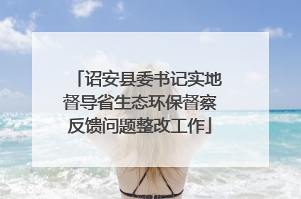 诏安县委书记实地督导省生态环保督察反馈问题整改工作