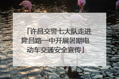 许昌交警七大队走进隆昌路一中开展暑期电动车交通安全宣传