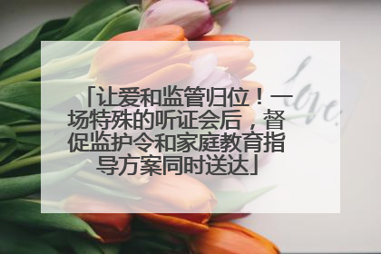 让爱和监管归位！一场特殊的听证会后，督促监护令和家庭教育指导方案同时送达