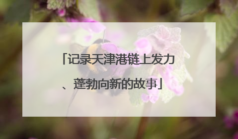 记录天津港链上发力、蓬勃向新的故事
