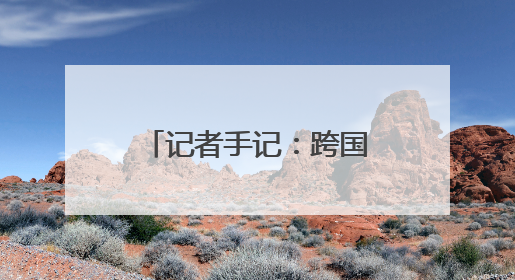 记者手记：跨国企业参与了一场别开生面的交流会