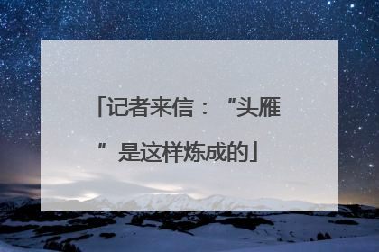 记者来信：“头雁”是这样炼成的