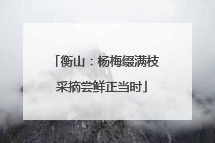 衡山：杨梅缀满枝 采摘尝鲜正当时