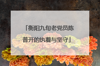 衡阳九旬老党员陈普开的执着与坚守
