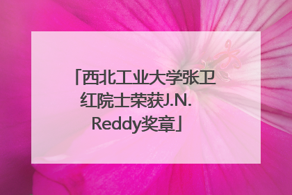 西北工业大学张卫红院士荣获J.N.Reddy奖章
