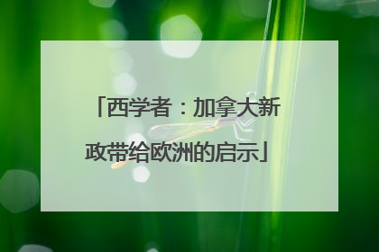西学者：加拿大新政带给欧洲的启示