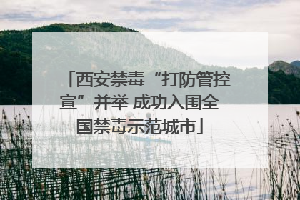 西安禁毒“打防管控宣”并举 成功入围全国禁毒示范城市