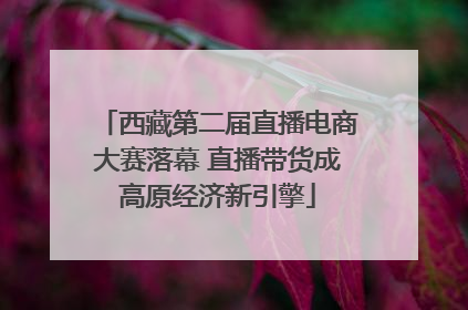 西藏第二届直播电商大赛落幕 直播带货成高原经济新引擎