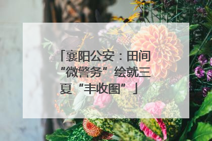 襄阳公安：田间“微警务”绘就三夏“丰收图”