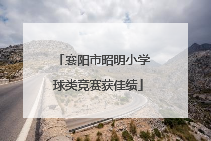 襄阳市昭明小学球类竞赛获佳绩
