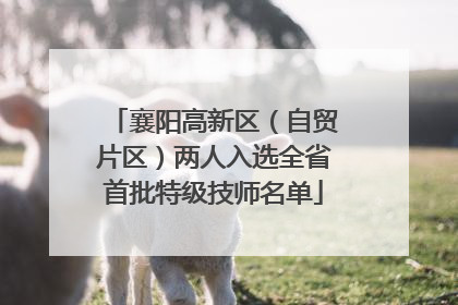 襄阳高新区（自贸片区）两人入选全省首批特级技师名单