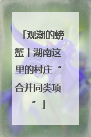 观潮的螃蟹丨湖南这里的村庄“合并同类项”
