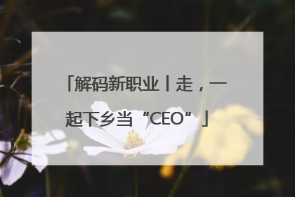 解码新职业丨走，一起下乡当“CEO”