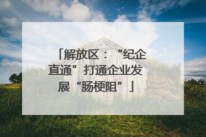 解放区：“纪企直通”打通企业发展“肠梗阻”