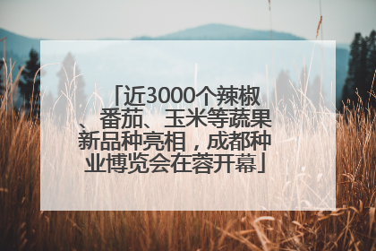 近3000个辣椒、番茄、玉米等蔬果新品种亮相，成都种业博览会在蓉开幕