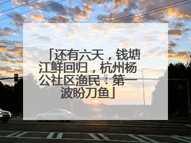 还有六天，钱塘江鲜回归，杭州杨公社区渔民：第一波盼刀鱼