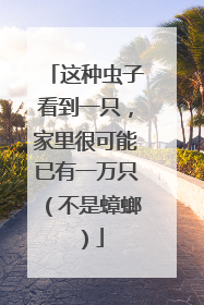 这种虫子看到一只，家里很可能已有一万只（不是蟑螂）