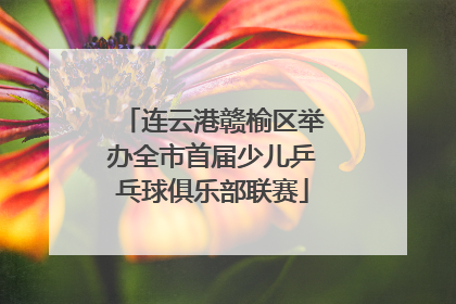 连云港赣榆区举办全市首届少儿乒乓球俱乐部联赛