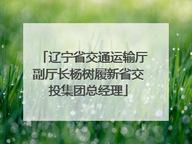 辽宁省交通运输厅副厅长杨树履新省交投集团总经理