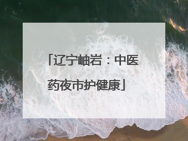 辽宁岫岩：中医药夜市护健康