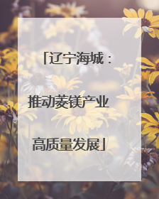 辽宁海城：推动菱镁产业高质量发展
