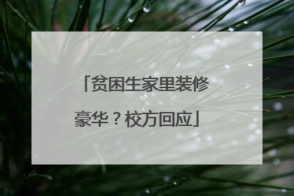 贫困生家里装修豪华？校方回应