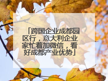 跨国企业成都园区行，意大利企业家忙着加微信，看好成都产业优势