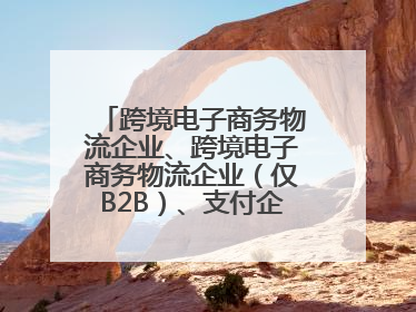 跨境电子商务物流企业、跨境电子商务物流企业（仅B2B）、支付企业备案操作指南