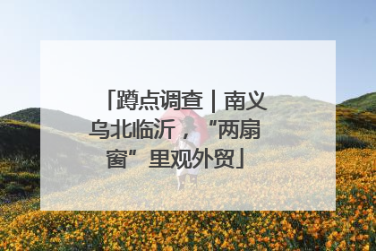蹲点调查｜南义乌北临沂，“两扇窗”里观外贸
