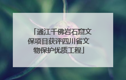 通江千佛岩石窟文保项目获评四川省文物保护优质工程