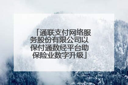 通联支付网络服务股份有限公司以保付通数经平台助保险业数字升级