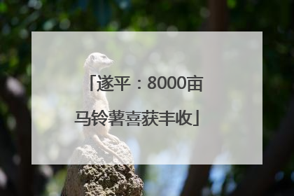 遂平：8000亩马铃薯喜获丰收