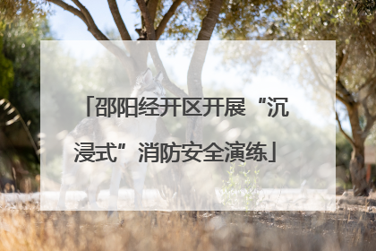 邵阳经开区开展“沉浸式”消防安全演练