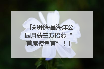 郑州海昌海洋公园月薪三万招募“首席摸鱼官”！