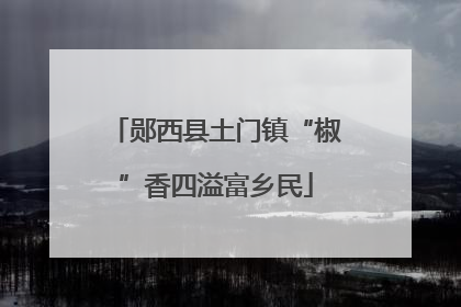 郧西县土门镇“椒”香四溢富乡民