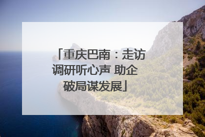 重庆巴南：走访调研听心声 助企破局谋发展