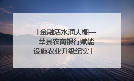 金融活水润大棚——莘县农商银行赋能设施农业升级纪实