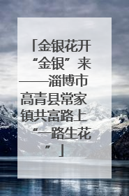 金银花开“金银”来——淄博市高青县常家镇共富路上“一路生花”
