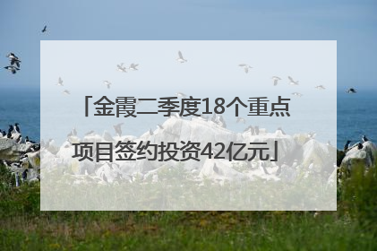 金霞二季度18个重点项目签约投资42亿元