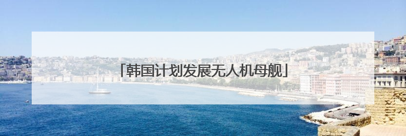 韩国计划发展无人机母舰