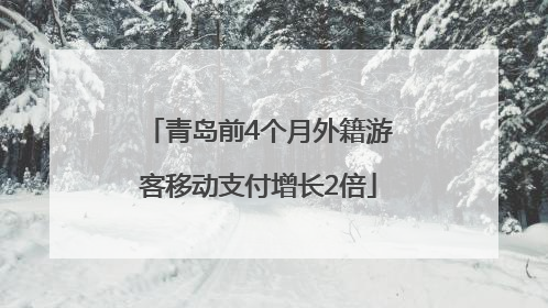 青岛前4个月外籍游客移动支付增长2倍