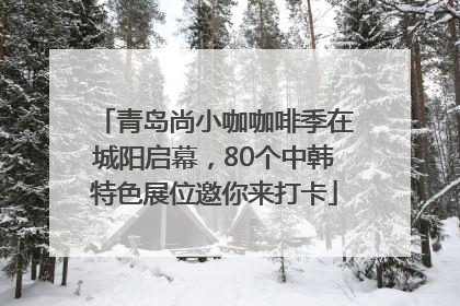 青岛尚小咖咖啡季在城阳启幕，80个中韩特色展位邀你来打卡