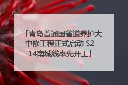 青岛普通国省道养护大中修工程正式启动 S214南城线率先开工